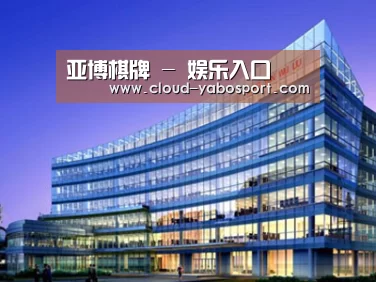 案例展示五