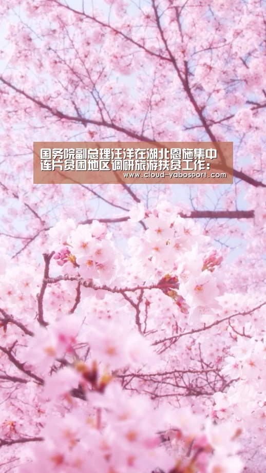 亚博体育官网