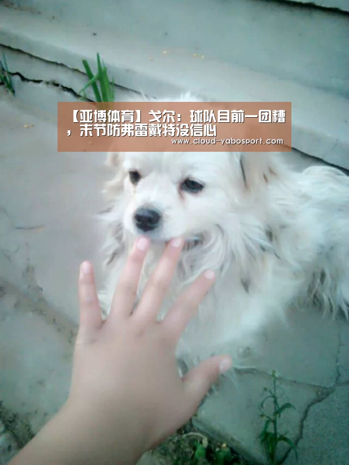 【亚博体育】戈尔:球队目前一团糟,末节防弗雷戴特没信心(图3) 亚博娱乐