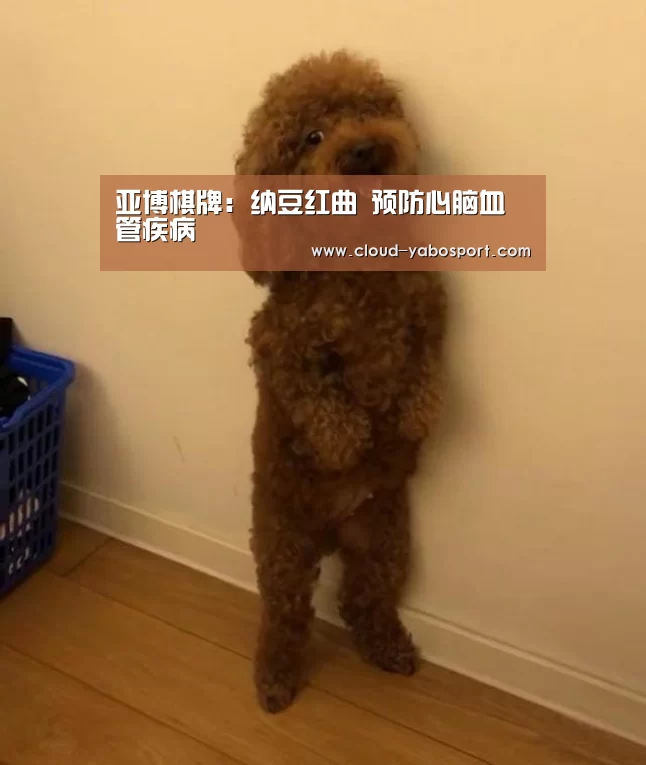 亚博体育官网