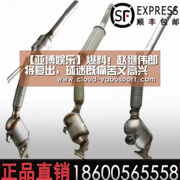 【亚博娱乐】爆料!赵继伟即将复出,球迷既痛苦又高兴(图2) 亚博体育