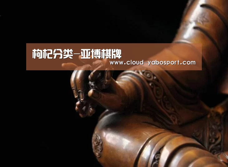 枸杞分类-亚博棋牌(图1) 亚博棋牌