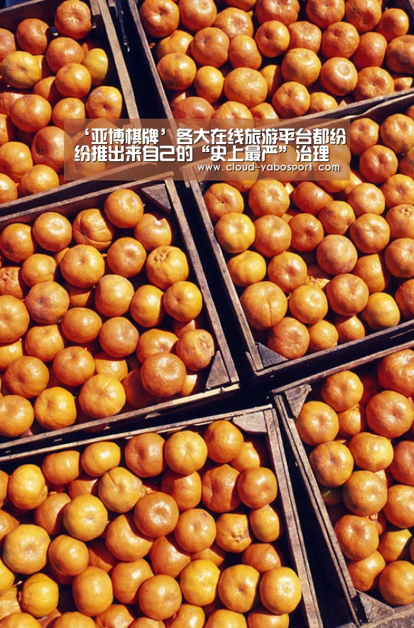 ‘亚博棋牌’各大在线旅游平台都纷纷推出来自己的“史上最严”治理举措(图3) 亚博体育官网