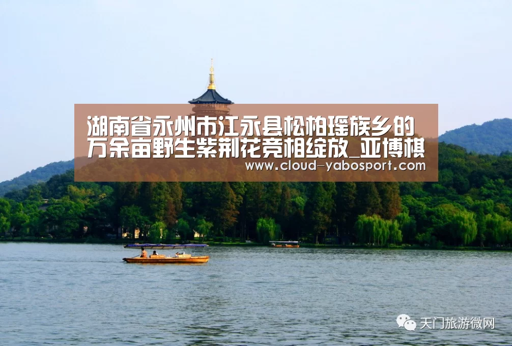 湖南省永州市江永县松柏瑶族乡的万余亩野生紫荆花竞相绽放_亚博棋牌(图1) 亚博体育