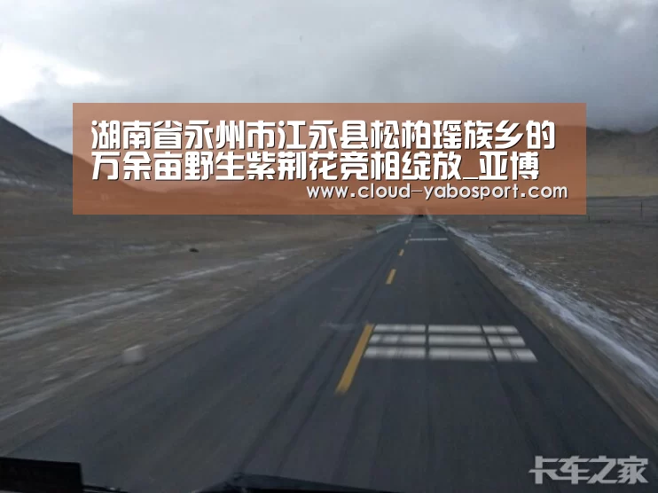湖南省永州市江永县松柏瑶族乡的万余亩野生紫荆花竞相绽放_亚博棋牌(图2) 亚博娱乐
